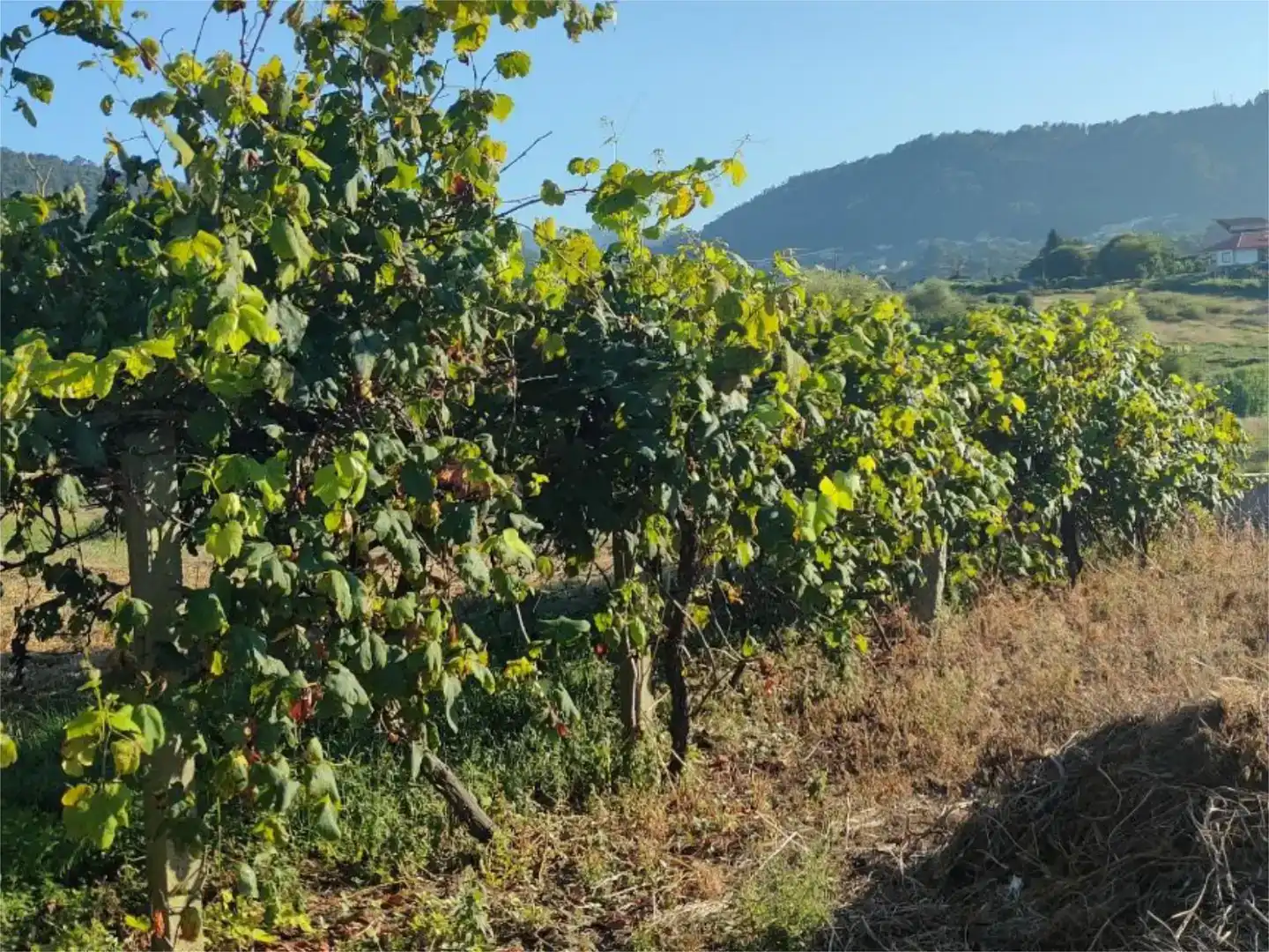 Pis en venda en Marín amb Jardí privat