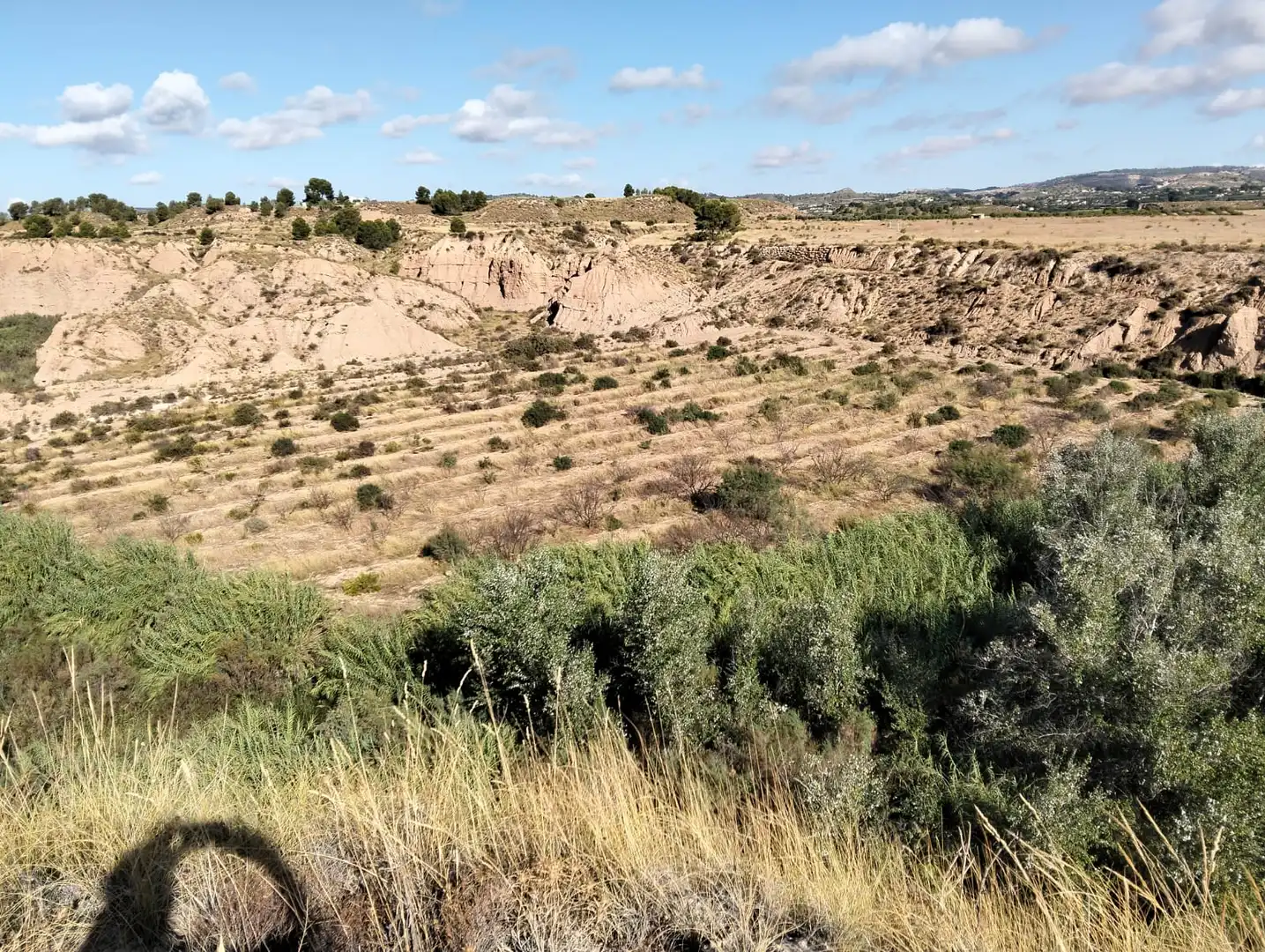 Lands and plots for sale in Mula, imagen 35