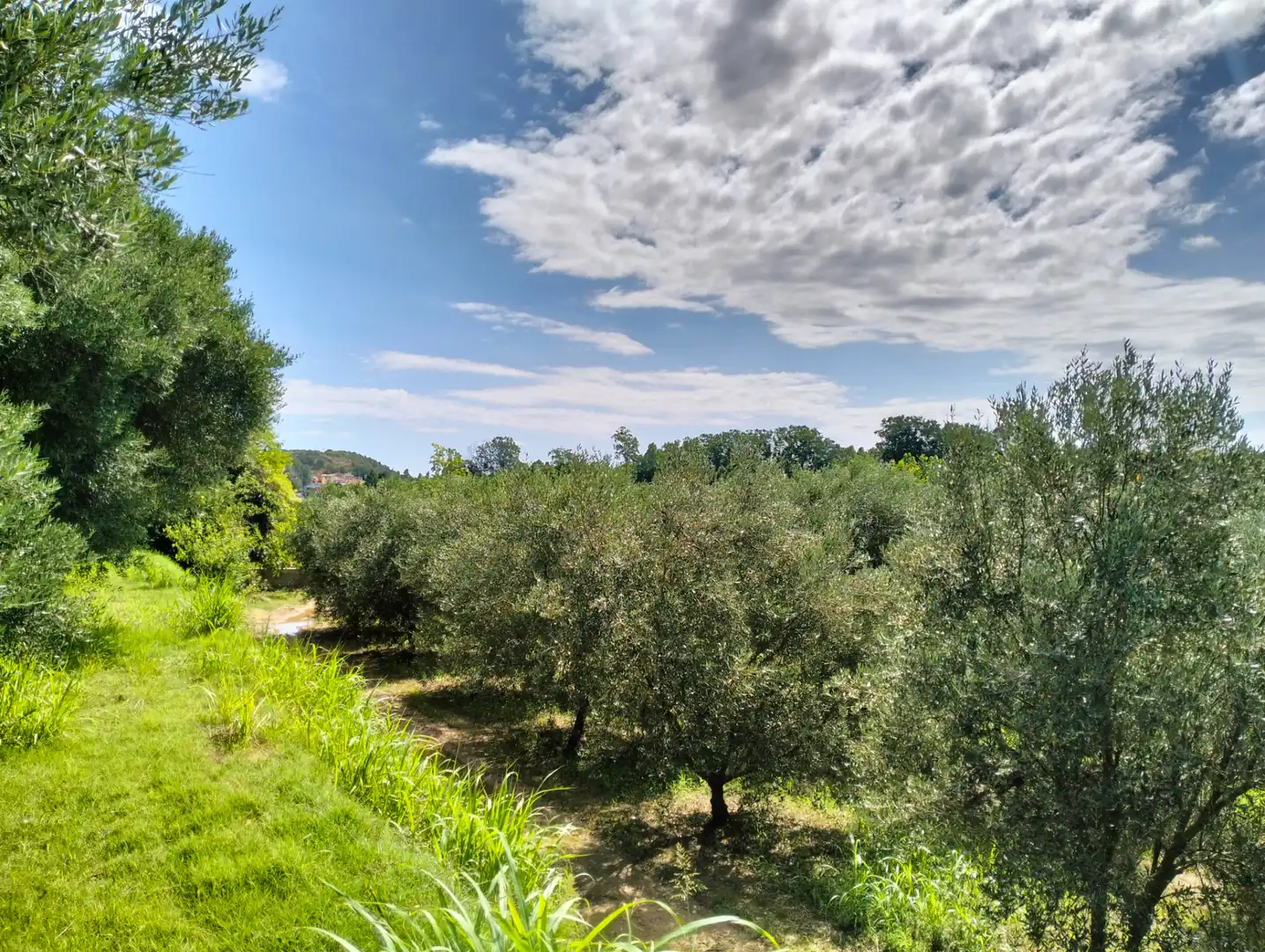 Jardí de Casa o xalet en venda en Cervià de Ter amb Jardí privat, Terrassa i Balcó