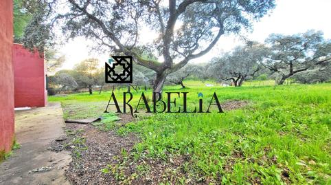 Foto 4 de Casa o xalet en venda a Cerro Muriano, Córdoba