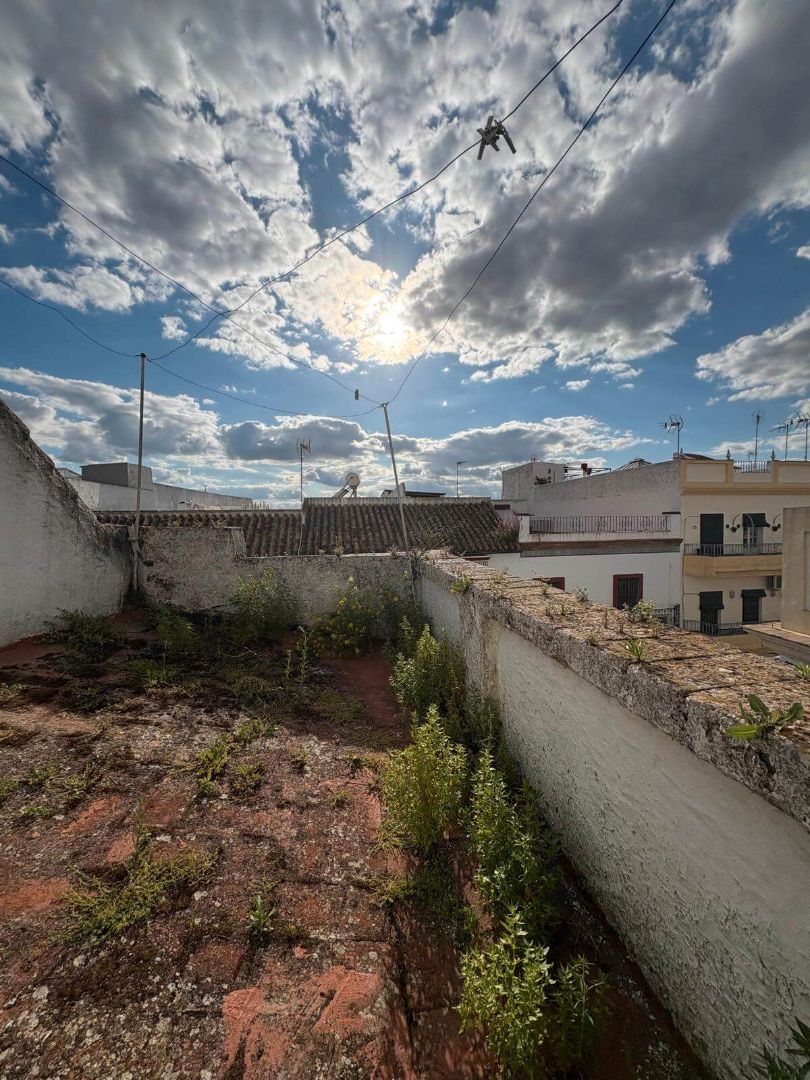 Vista exterior de Casa adosada en venda en Carmona amb Terrassa