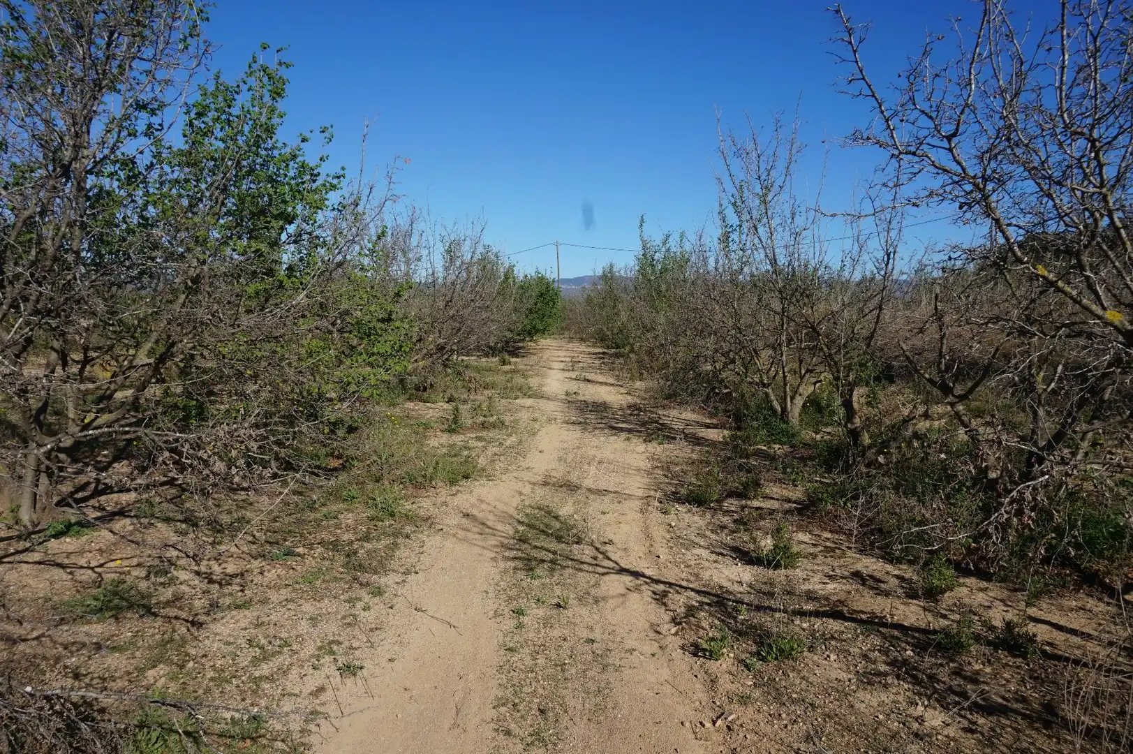 Terreny rústic en venda a Planes del Roquis, imagen 14