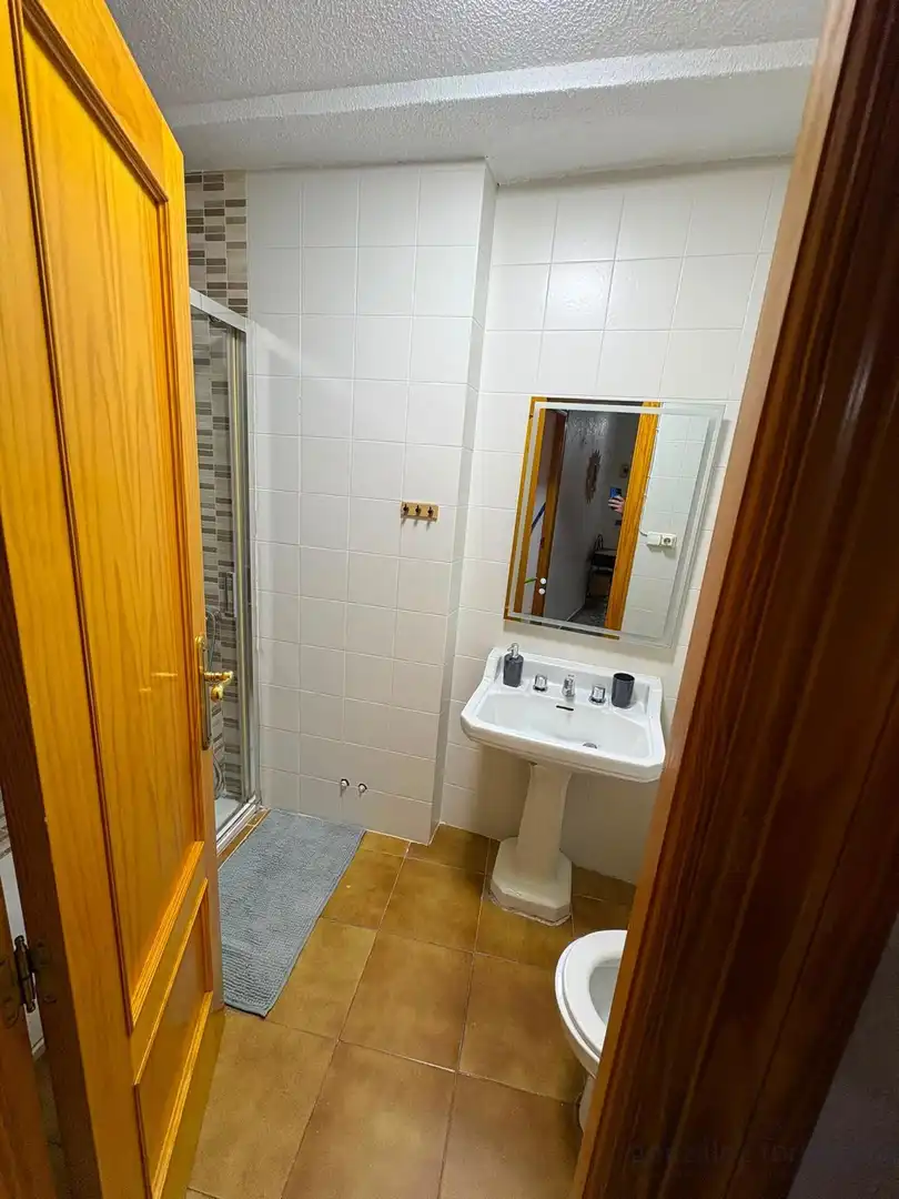 Wohnung zur Miete in Casco Antiguo