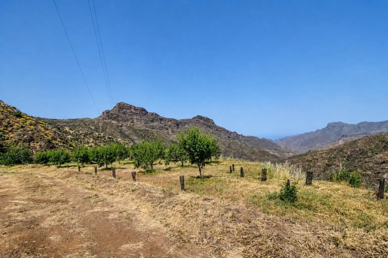 Finca rústica en venta en Tejeda con Terraza