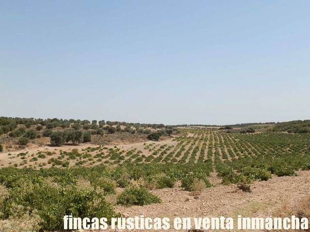 Terreno en Venta en Mota del Cuervo