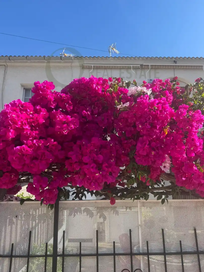 Garden of Houses for sale in Santa Pola  with Private garden, Terrace and Storage room