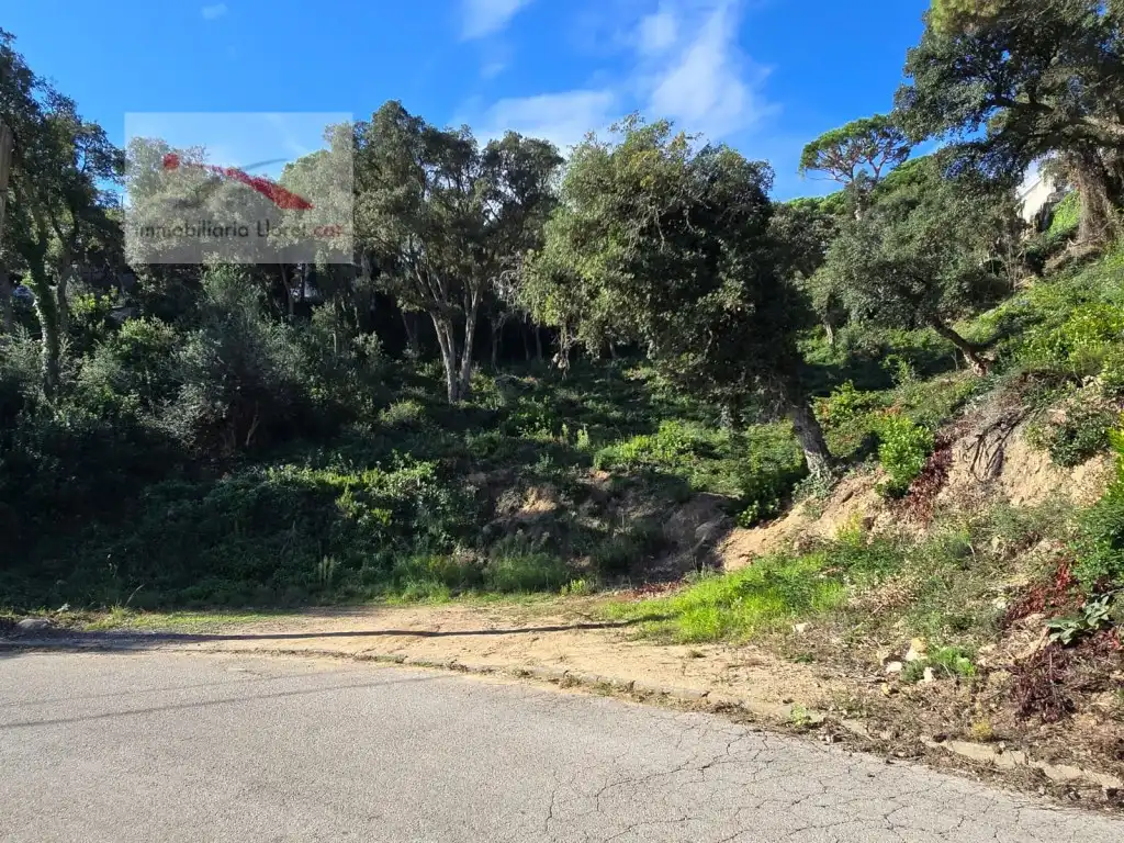 Terreno residencial en venta en Serra Brava, imagen 4
