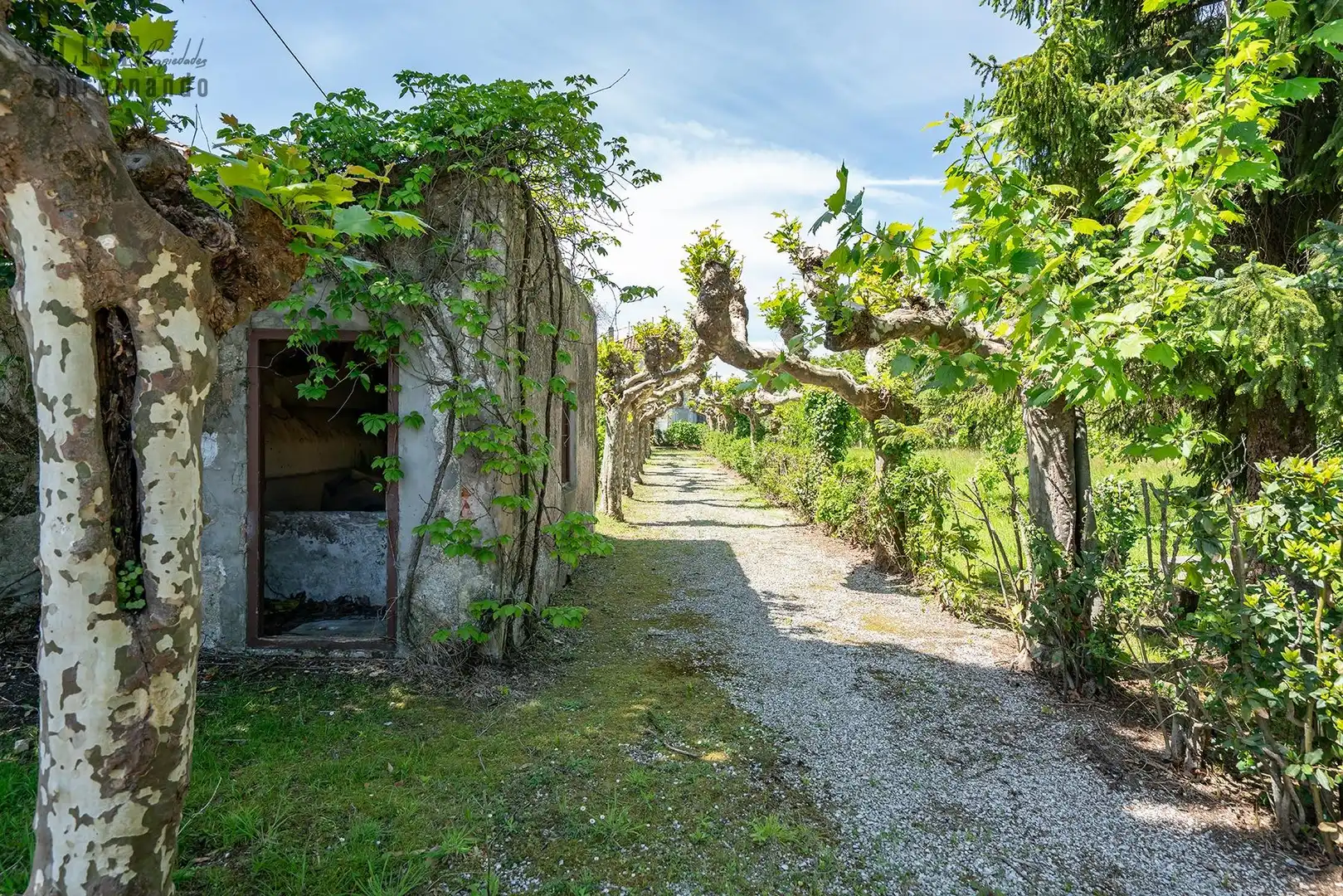 Vista exterior de Casa o xalet en venda en Polanco amb Jardí privat, Terrassa i Balcó