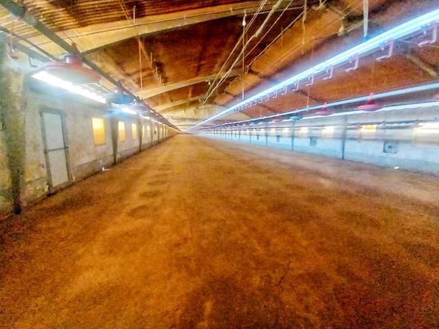 Nave industrial en Venta en Calle San Roque, 3 en Bahabón de Esgueva