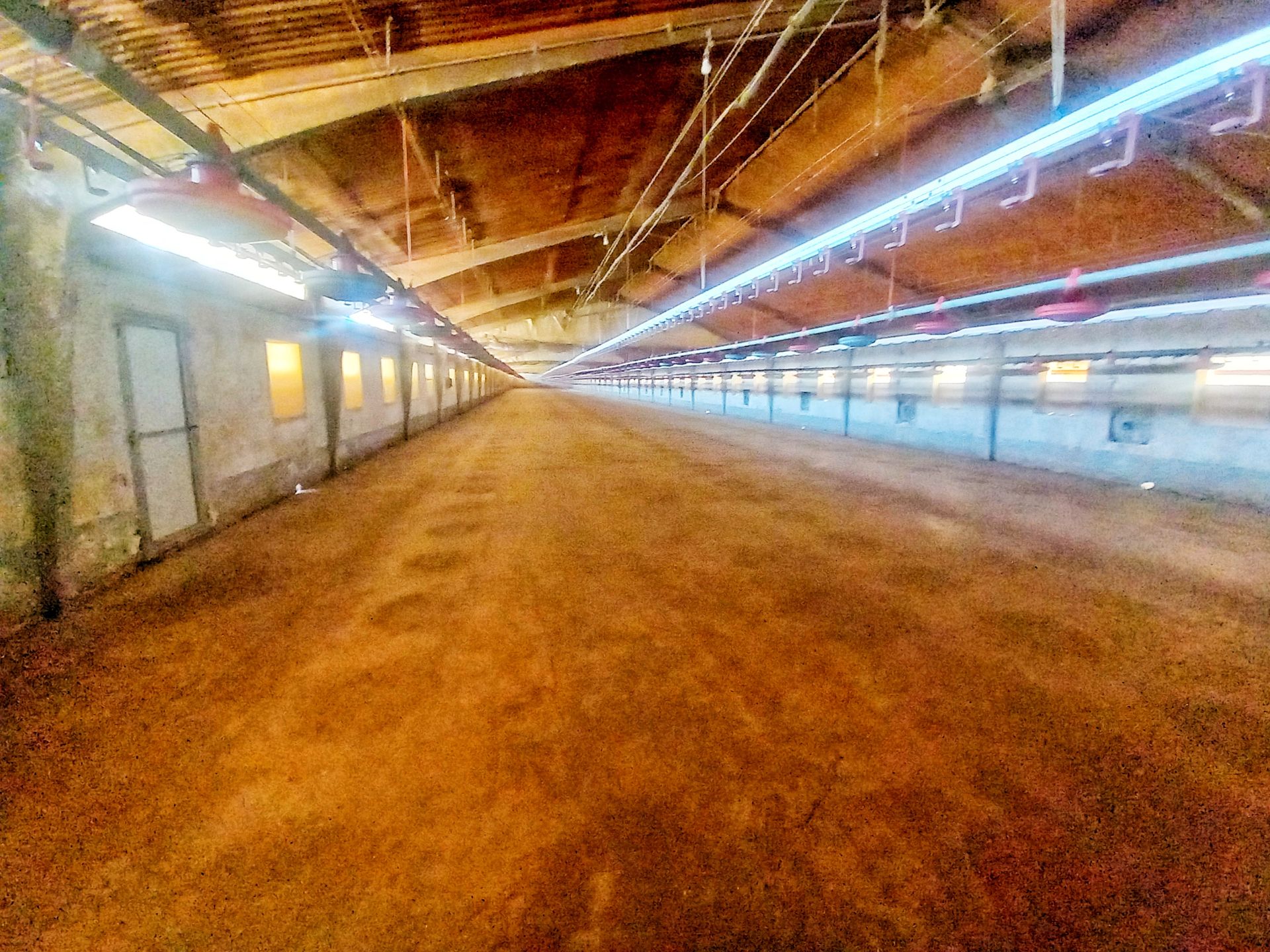 Exterior view of Industrial buildings for sale in Pinilla Trasmonte  with Heating and Alarm