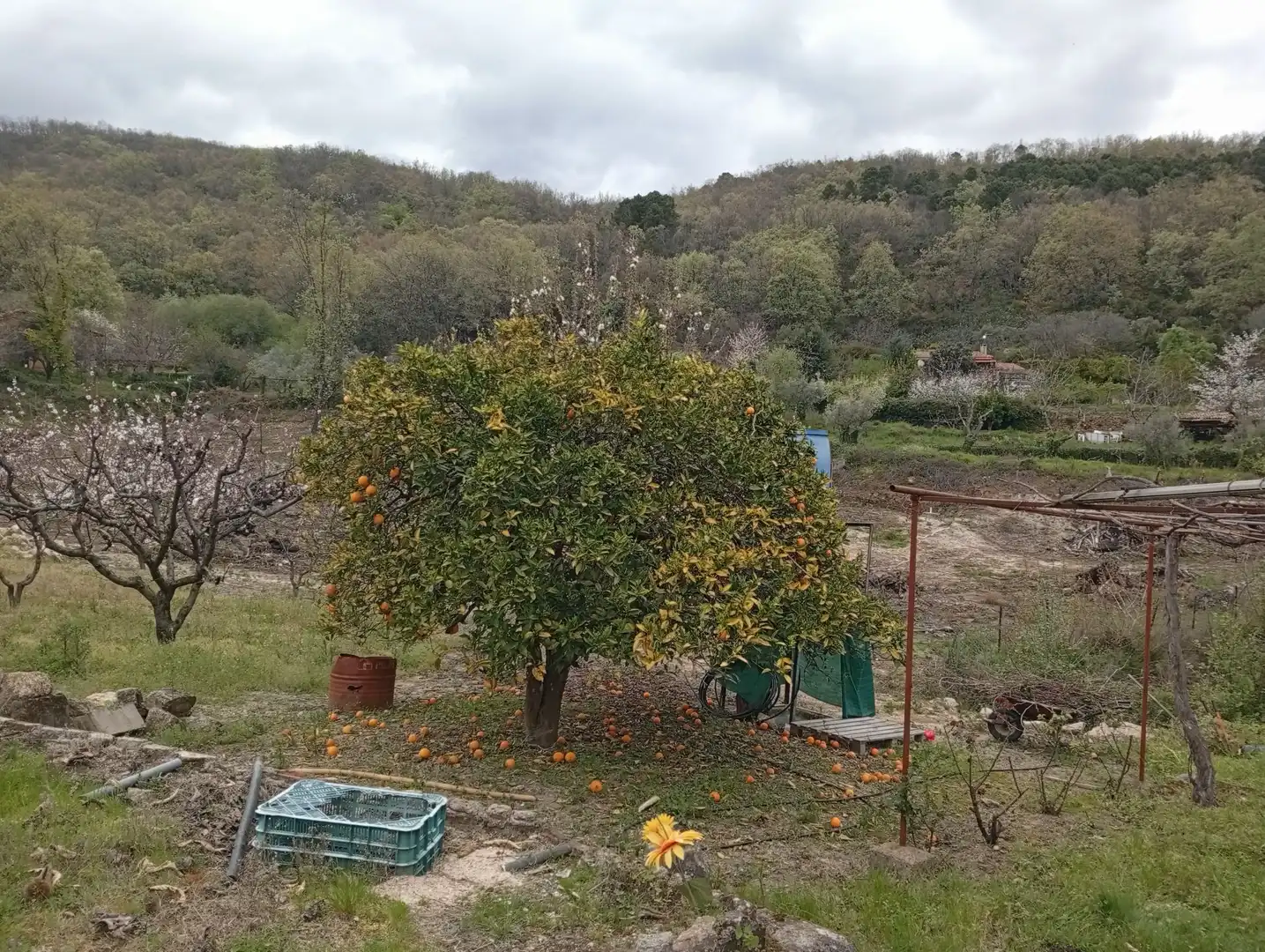 Terreni e lotti in vendita a Villanueva de la Vera, imagen 20