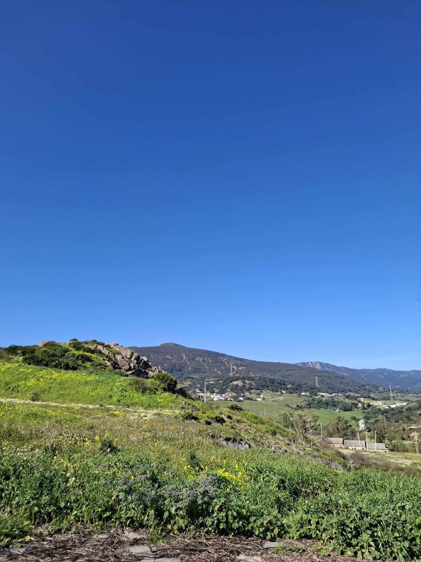 Exterior view of Houses for sale in Algeciras