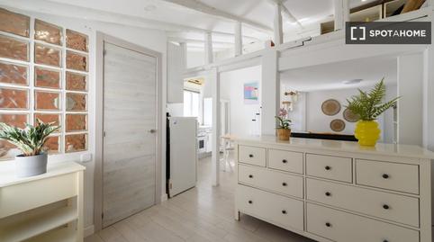 Photo 5 of Study to share in Universidad - Malasaña, Madrid