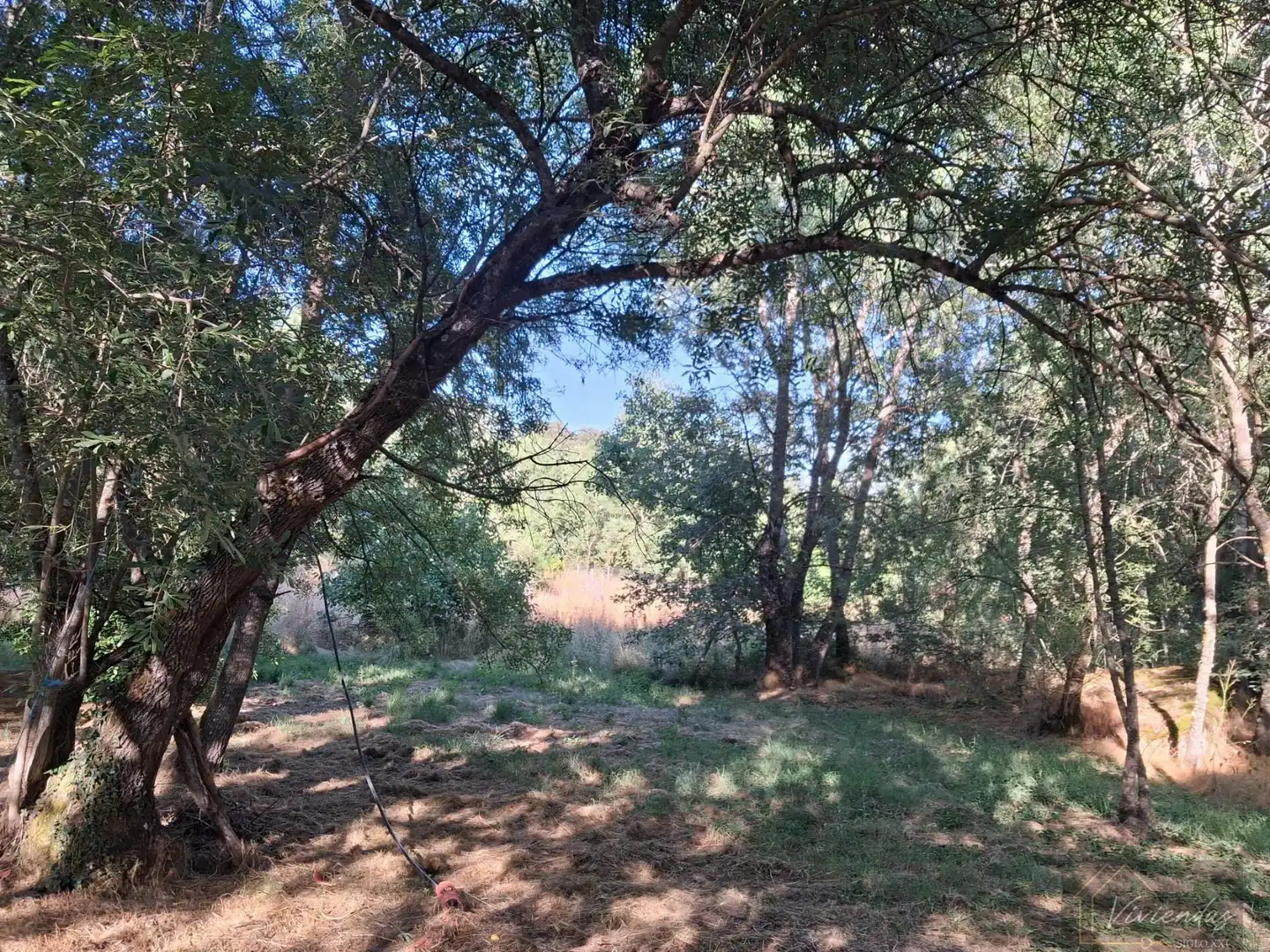 Finca rústica en venta en Bustarviejo