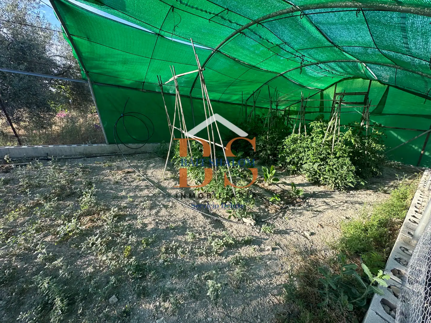 Terreni e lotti in vendita a Archidona, imagen 24