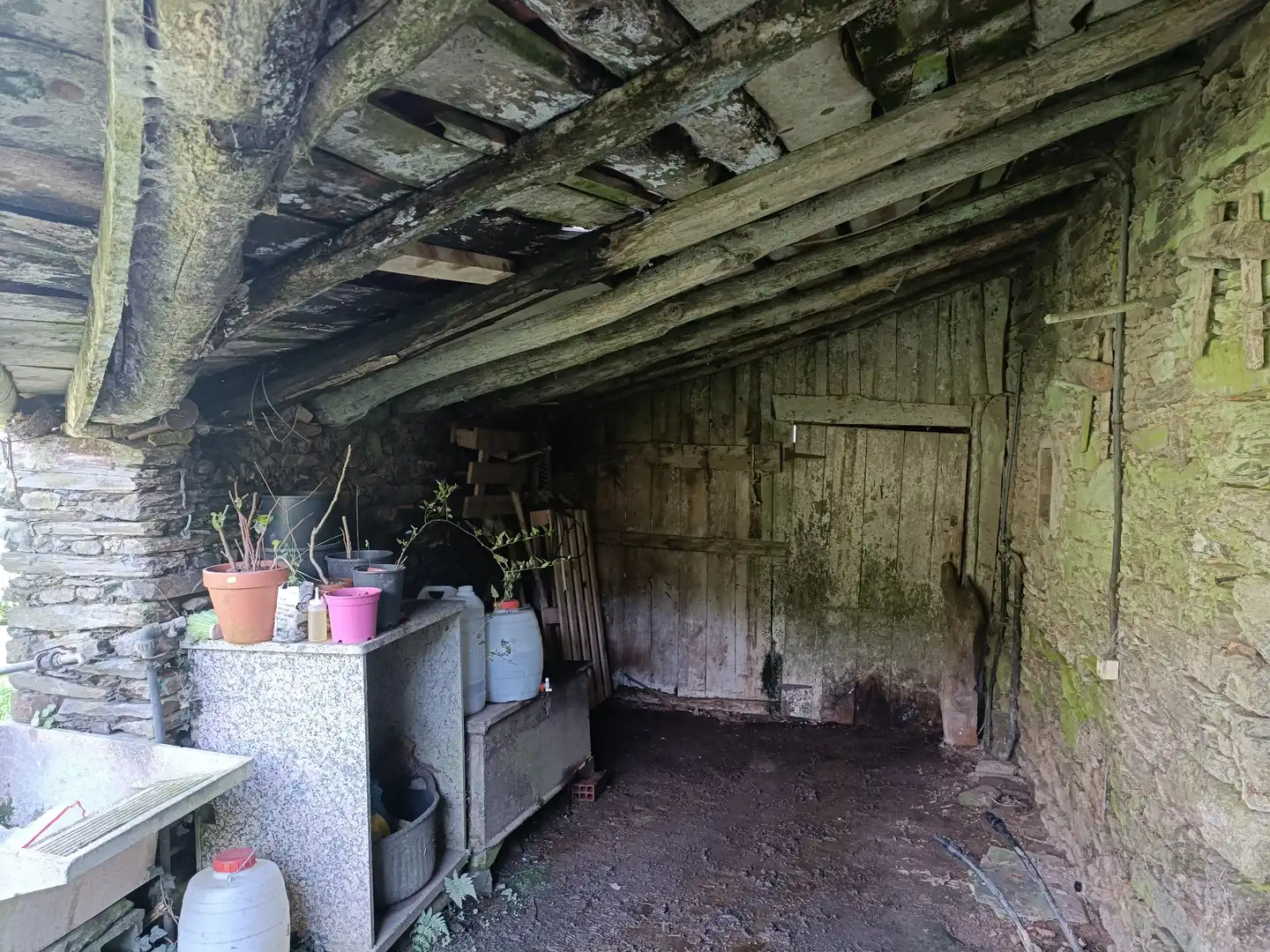 Casa o xalet en venda en Cesuras amb Jardí privat