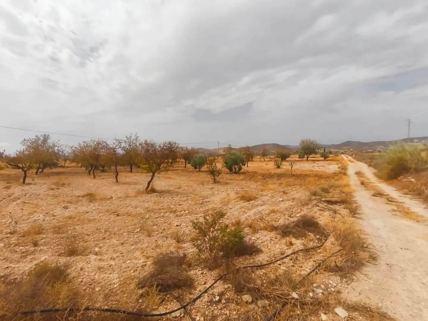 Rustikales Grundstück zum Verkauf in Uleila del Campo, imagen 4