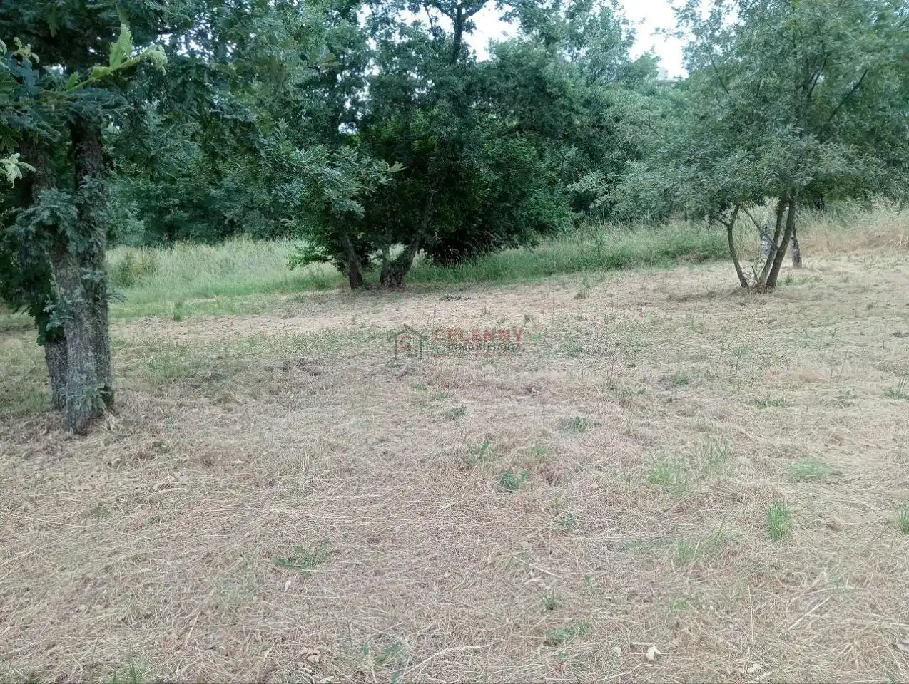 Terreni e lotti in vendita a San Cibrao das Viñas, imagen 3