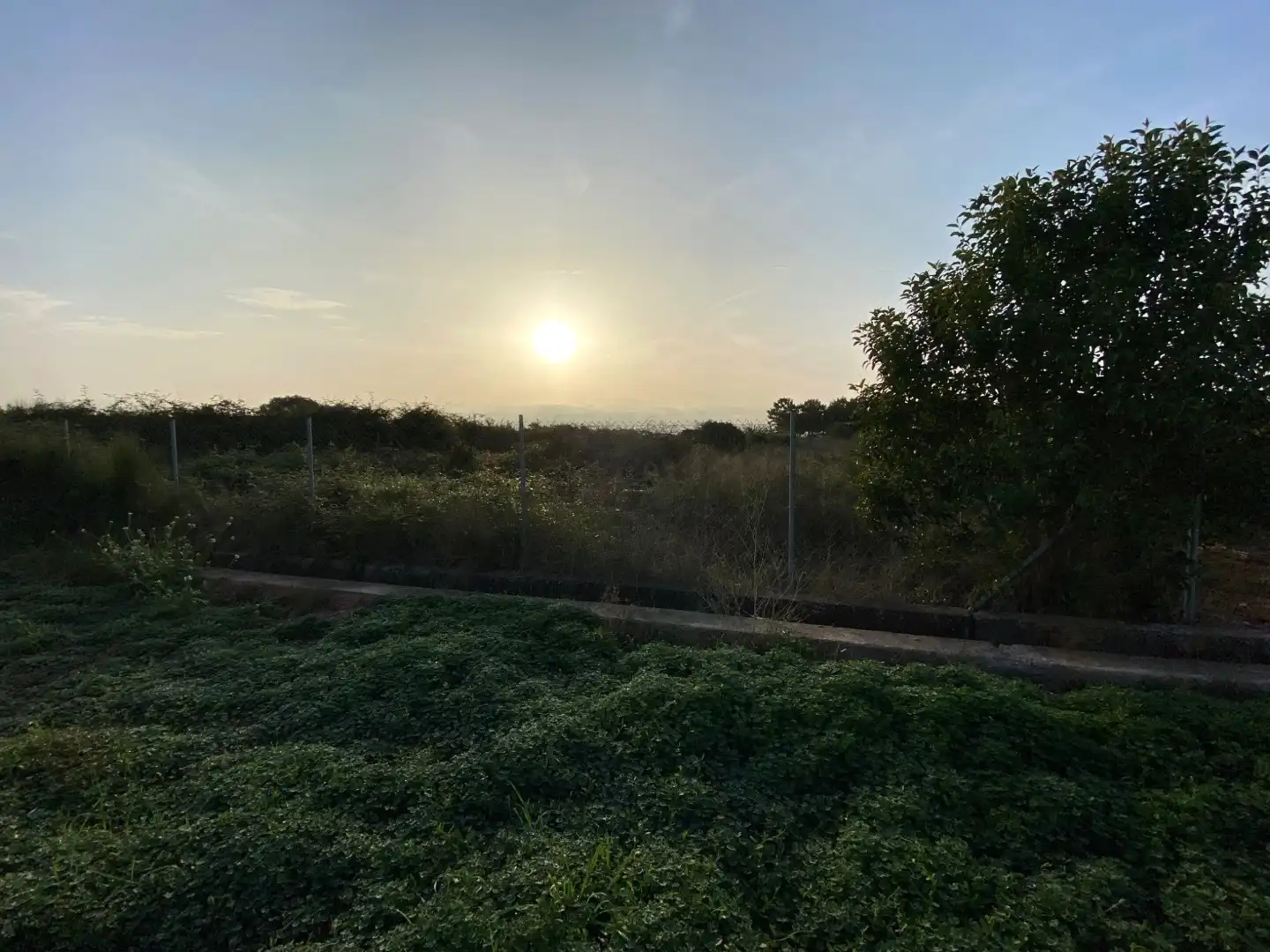 Terreno en venta en Vila-real