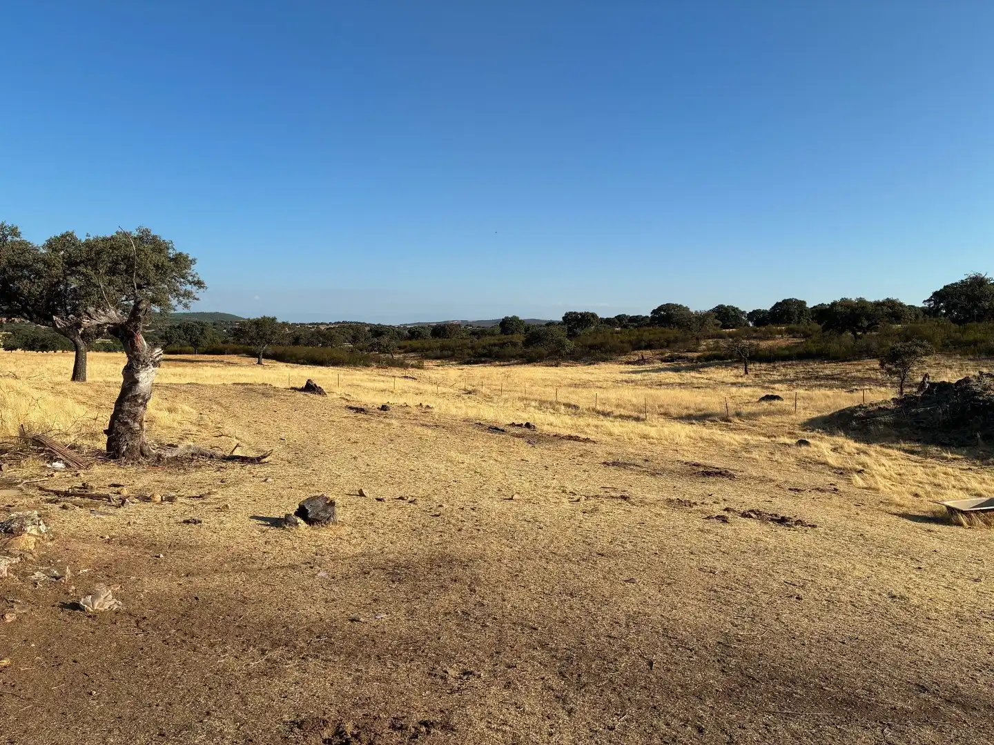 Rural land for sale in Puerto de San Vicente, imagen 3
