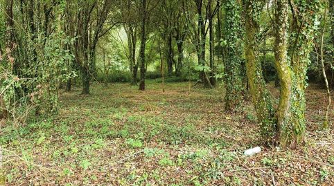 Finca en Presa del Rey, Narón, imatge 5