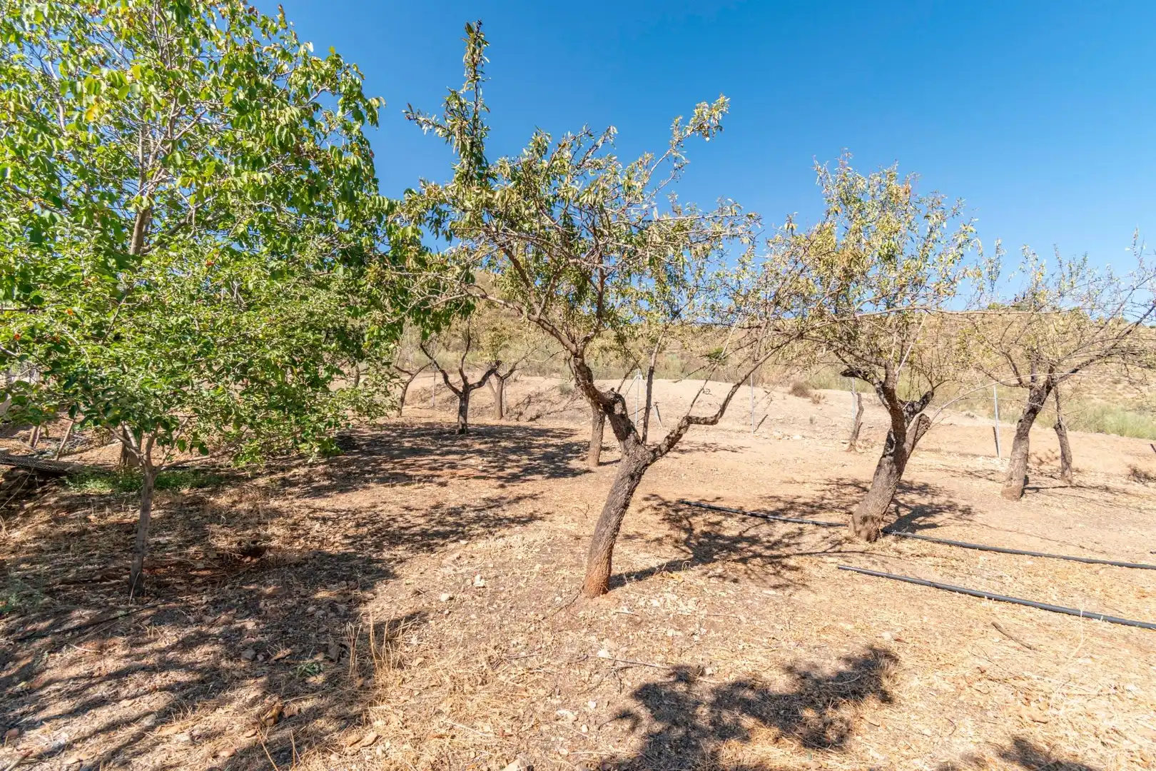 Finca rústica en venta en Vereda morollon, La Peza