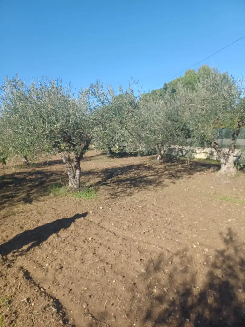 Casa rústica amb terrassa en venda a Calle Bahía de Cádiz, imagen 36