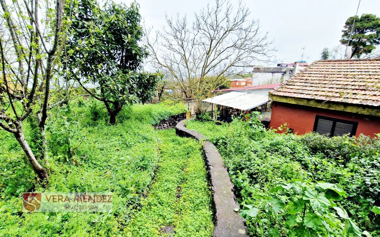 Casa o xalet en venda en Tacoronte