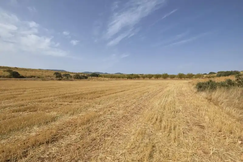 Terreni e lotti in vendita a Padul, imagen 17