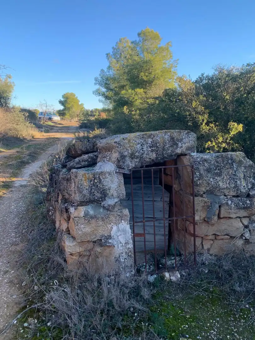 Terreno rustico in vendita a Juncosa, imagen 4