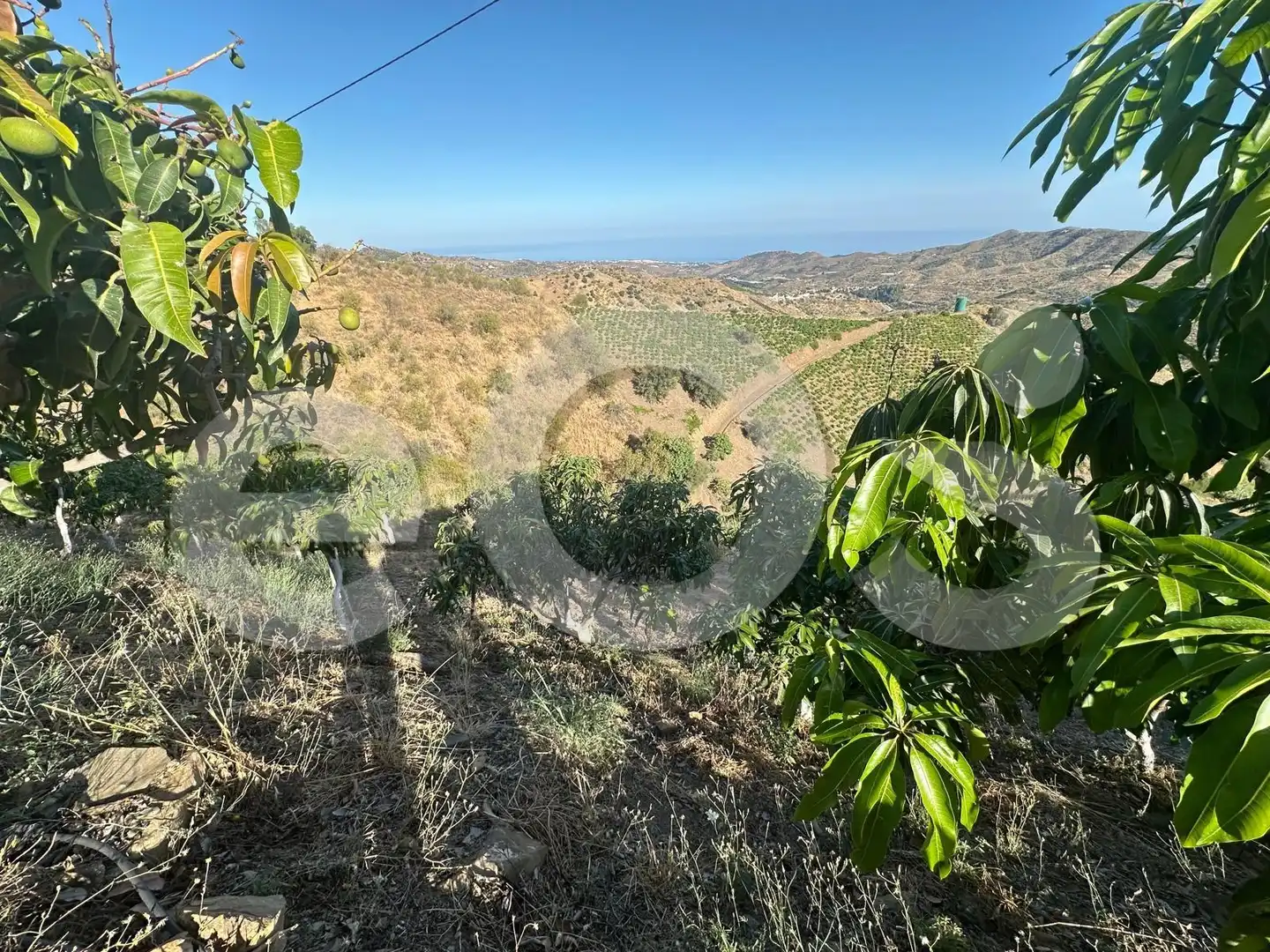 Terreno en venta en Macharaviaya