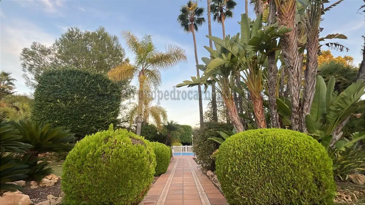 Villa avec piscine à vendre à Elche ciudad, imagen 3