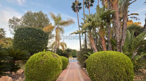 Foto 4 de Casa o xalet en venda a El Palmeral - San Antón, Alicante