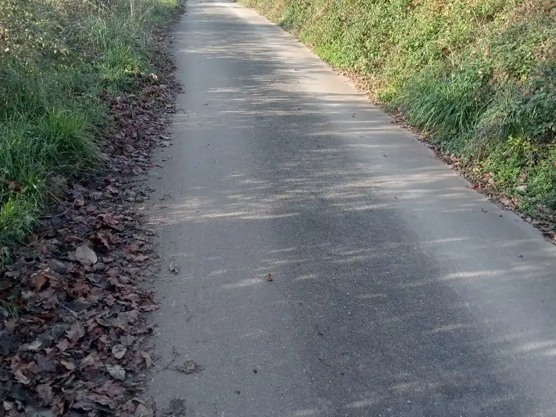 Außenansicht von Grundstücke zur Miete in Siero