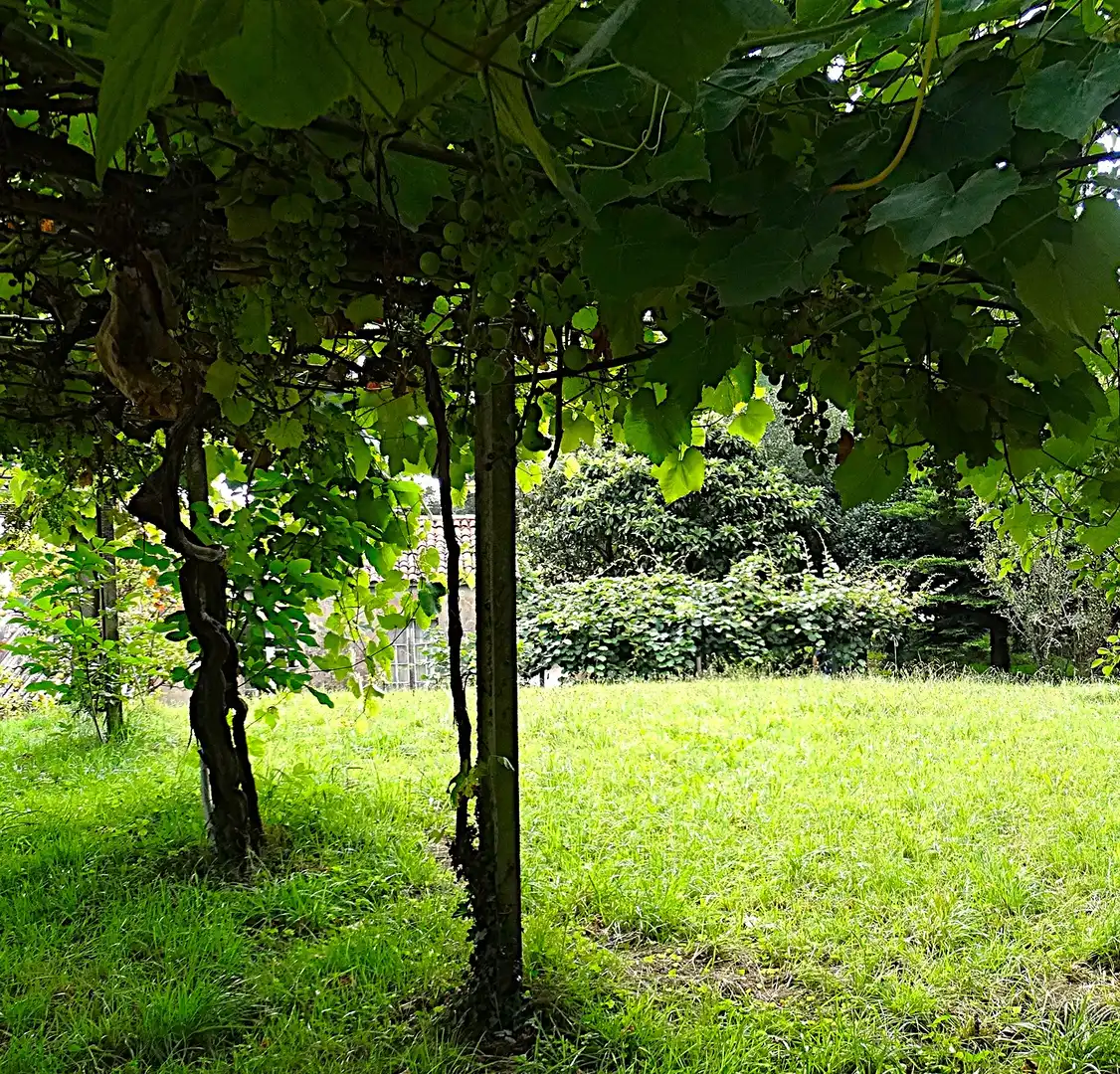 Jardí de Finca rústica en venda en Narón amb Calefacció, Jardí privat i Parquet