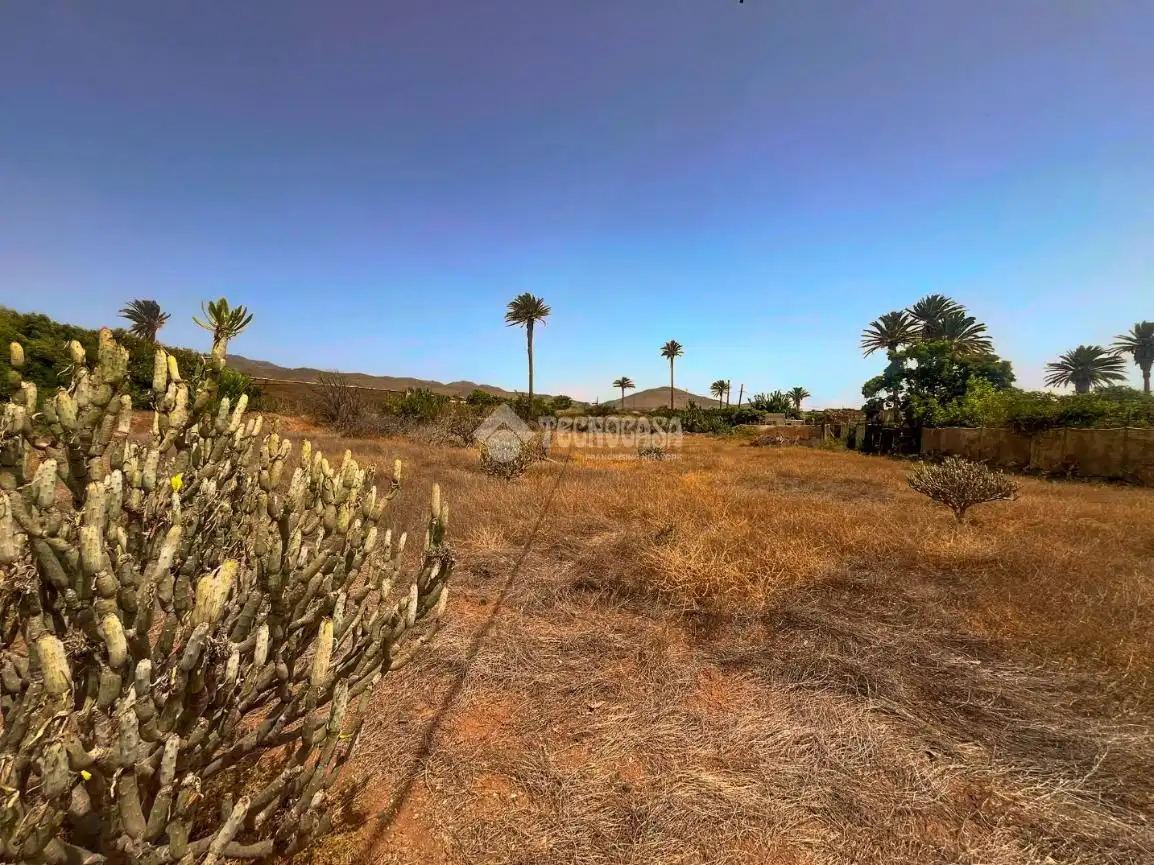 Rural land for sale in Ingenio pueblo, imagen 6