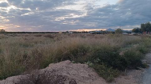 Photo 5 of Country house for sale in Camí Dels Quiles, Torrellano, Elche / Elx