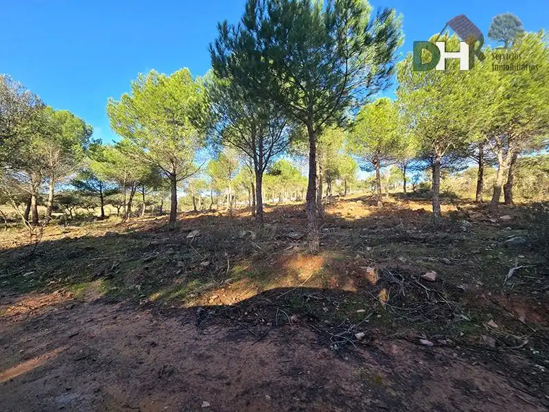 Terrenos y solares en venta en Santa María  - Pío XII, imagen 5