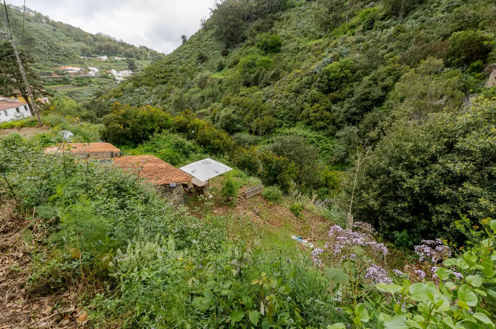 Land for sale in Teror