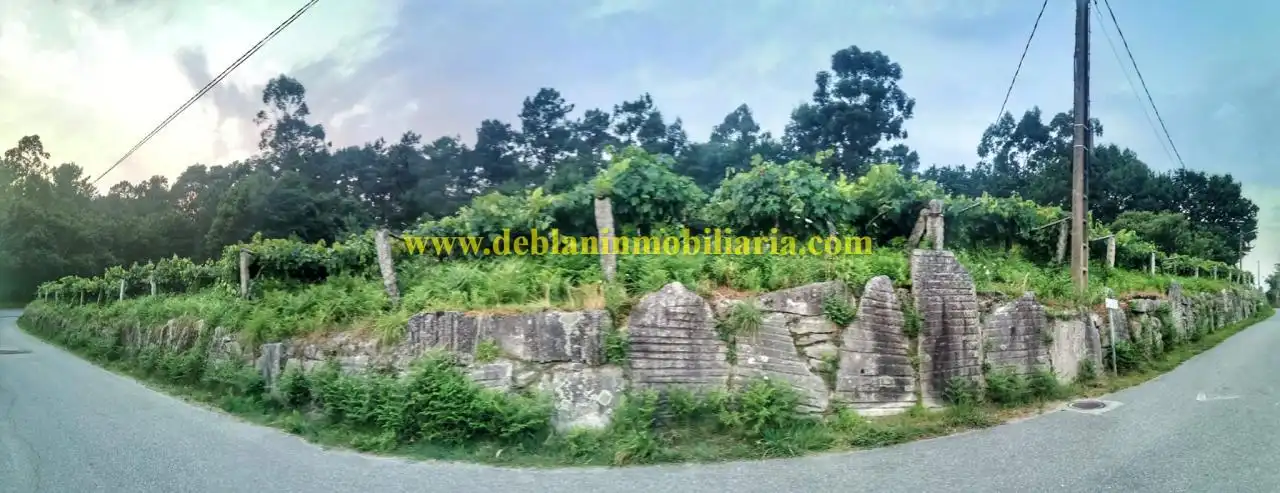 Terreno residencial en venta en Cotarel - Ribadelouro, imagen 6