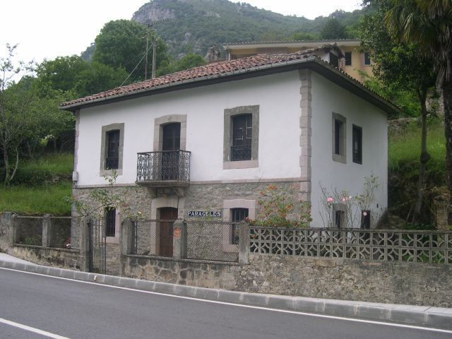Vista exterior de Finca rústica en venda en Peñamellera Alta amb Jardí privat