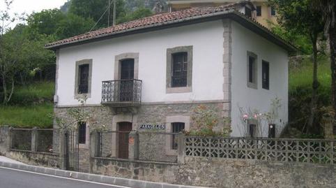 Foto 3 de Finca rústica en venda a Peñamellera Alta, Asturias