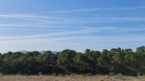 Foto 3 von Residential zum Verkauf in N/a, -1, Yecla, Murcia