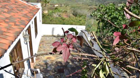 Foto 4 de Finca rústica en venta en Buenavista del Norte, Santa Cruz de Tenerife