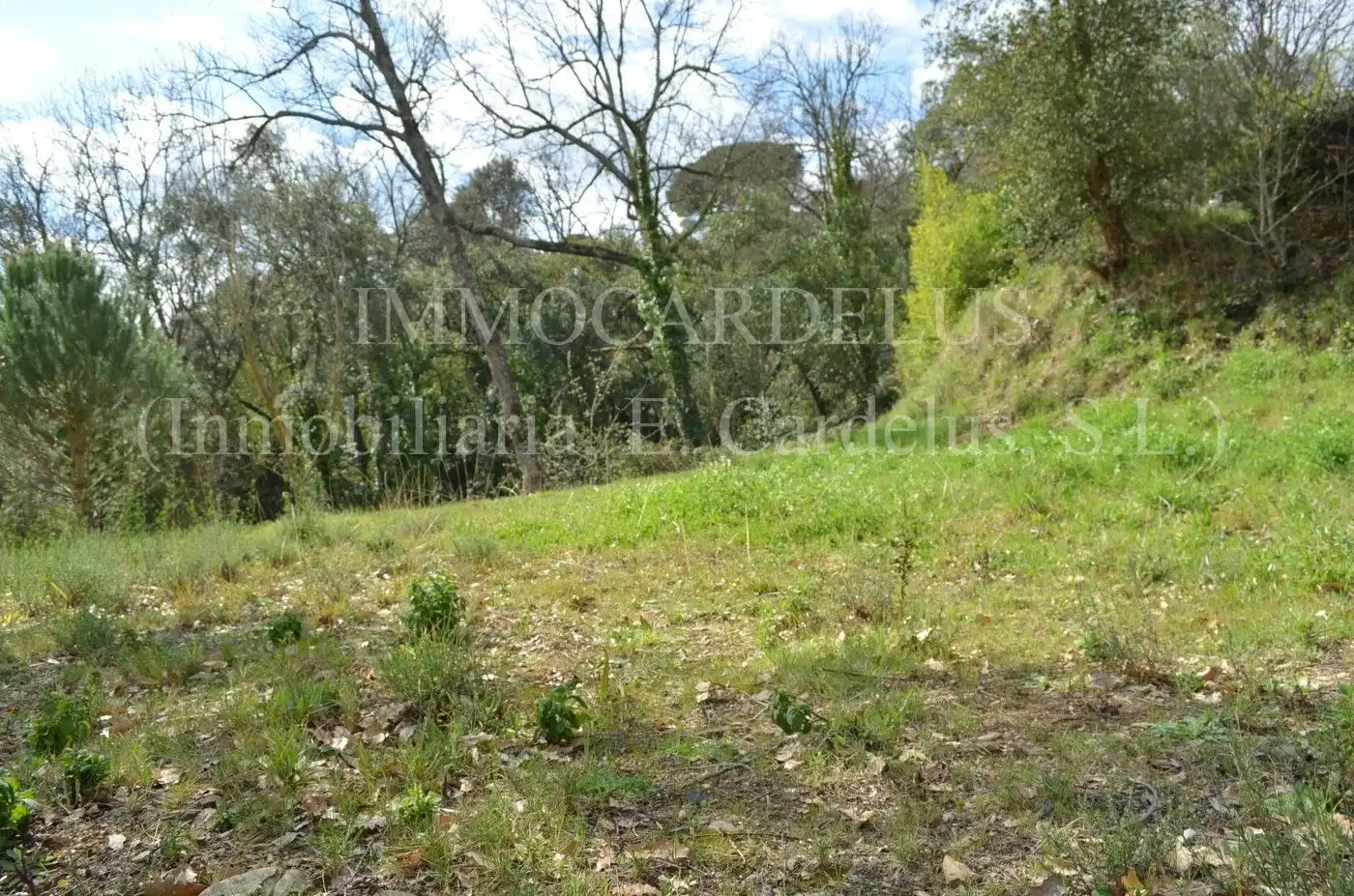 Terreny residencial en venda a Riells i Viabrea, imagen 3
