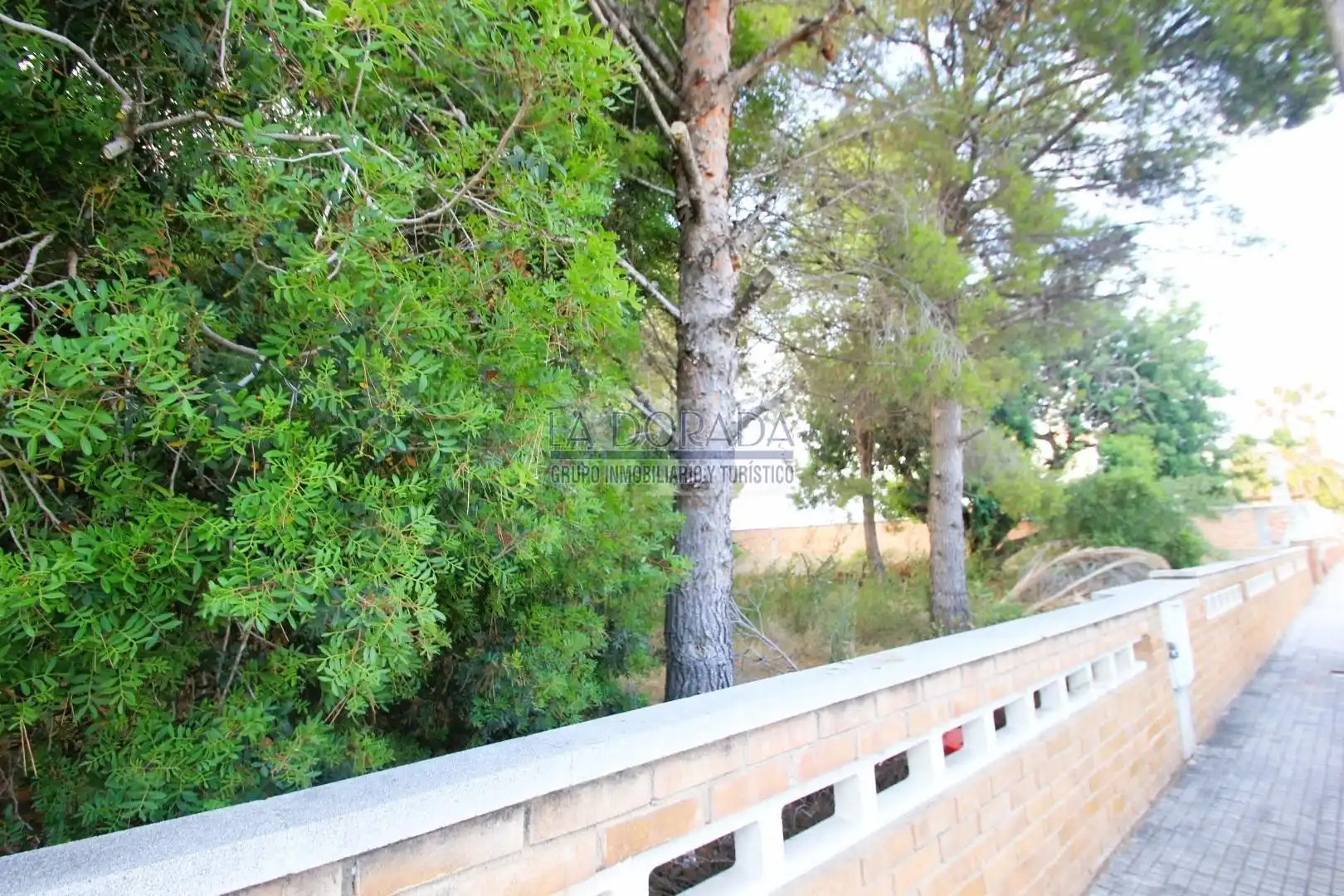 Terreny residencial en venda a Platja de Mont-roig, imagen 13