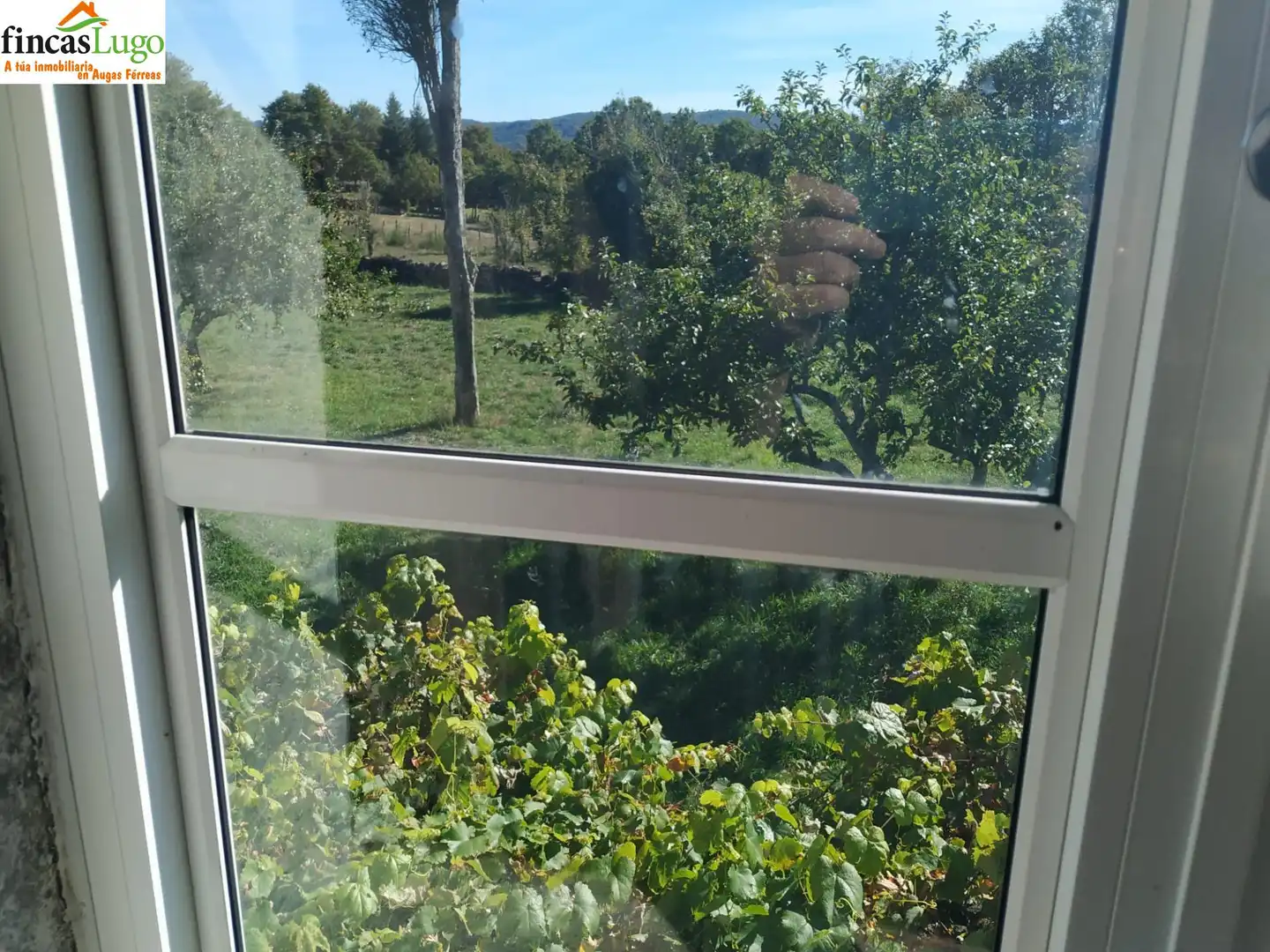 Casa con giardino in vendita a Carballedo, imagen 15