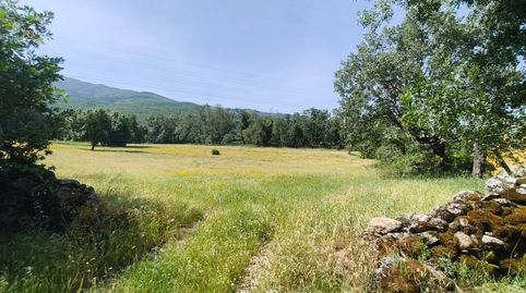 Terreno en venta en Hervás  Paraje La Romana, immagine 2