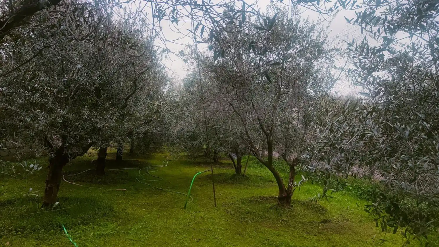 Garden of Houses for sale in Córdoba  with Air Conditioner