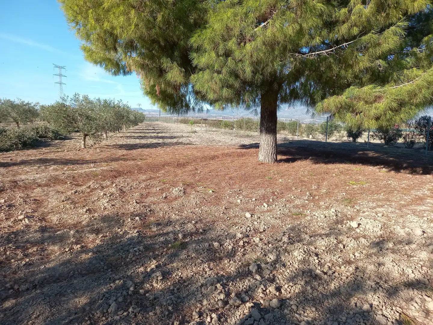 Country homes for sale in Torre-Pacheco  with Private garden, Terrace and Storage room